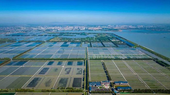 航拍高淳固城湖螃蟹核心區(qū)。高淳區(qū)融媒體中心供圖